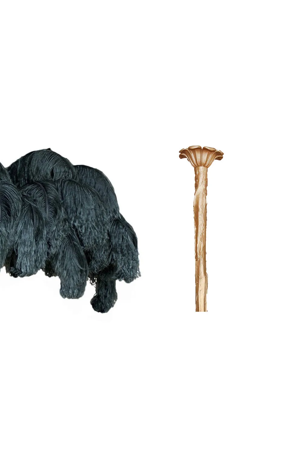Brass Ostrich Feather Chandeliers