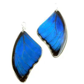 Large Morpho Butterfly Wing Earrings