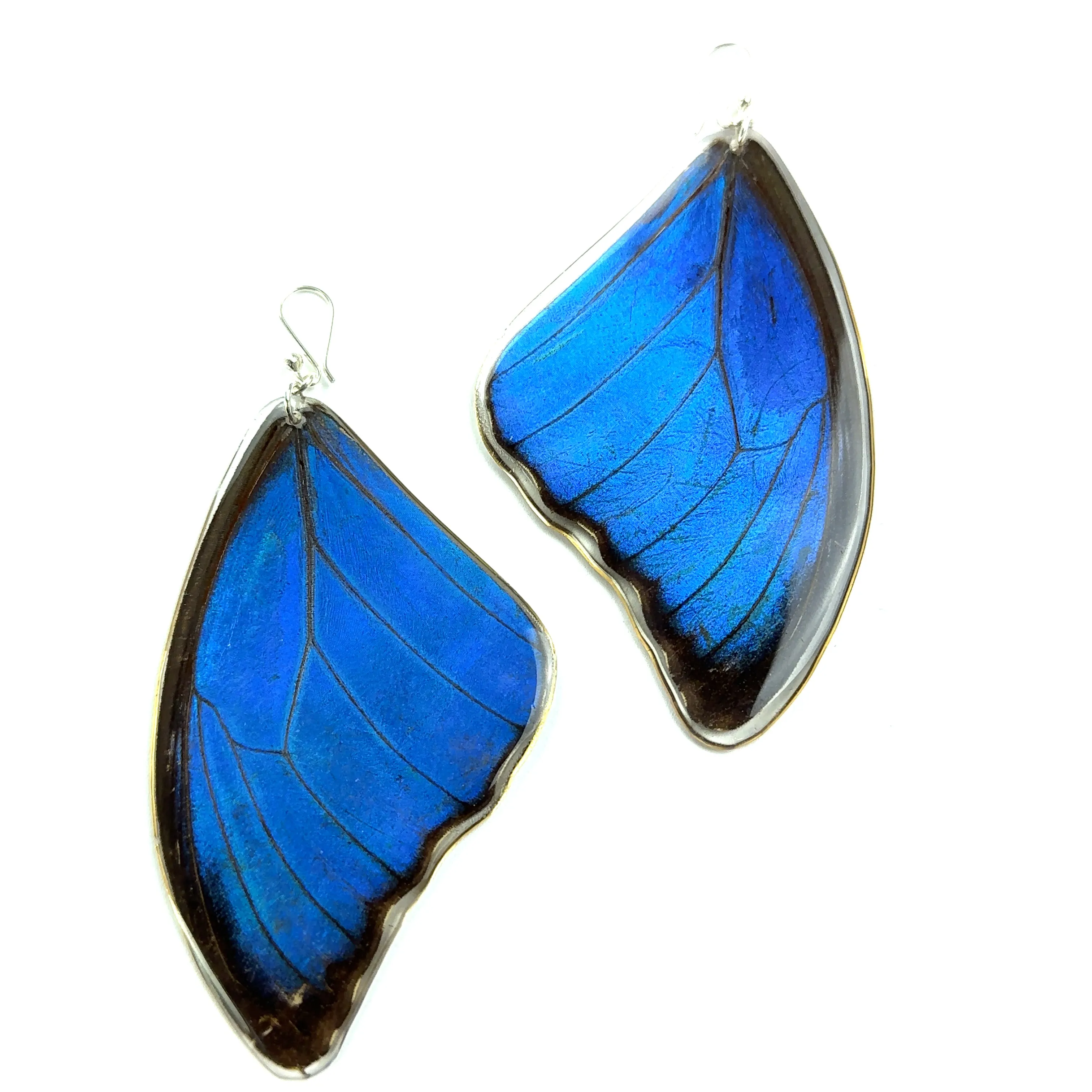 Large Morpho Butterfly Wing Earrings
