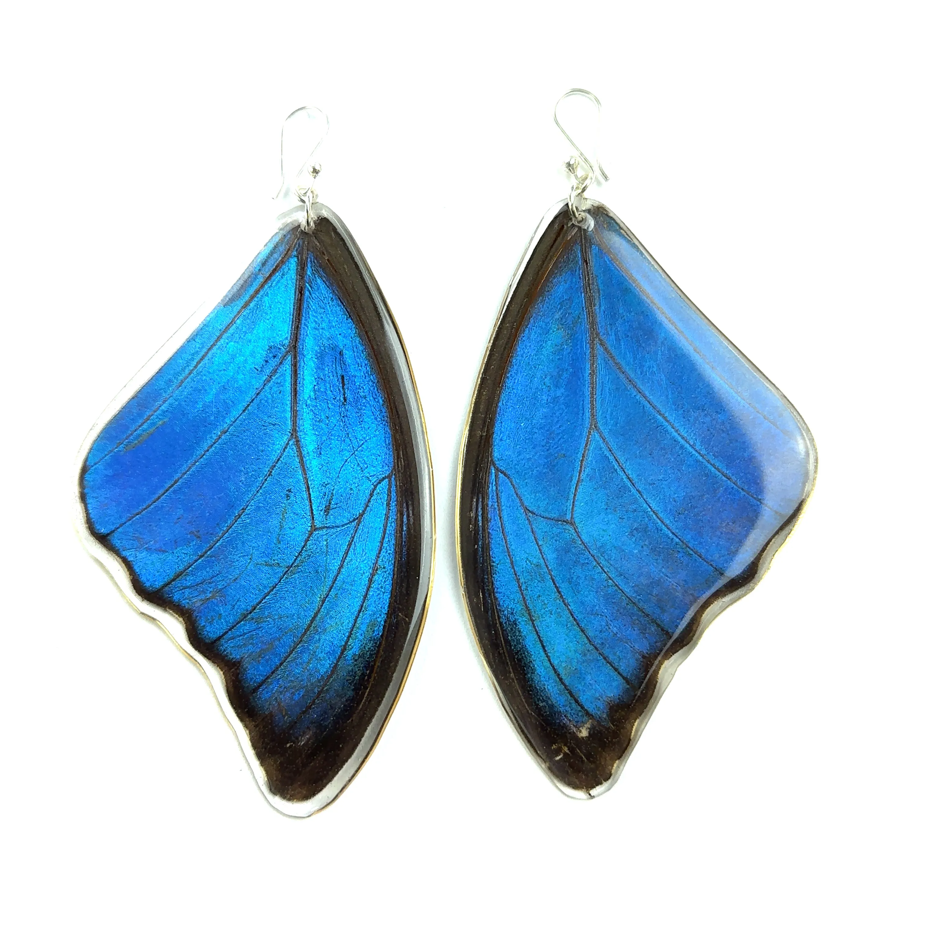 Large Morpho Butterfly Wing Earrings