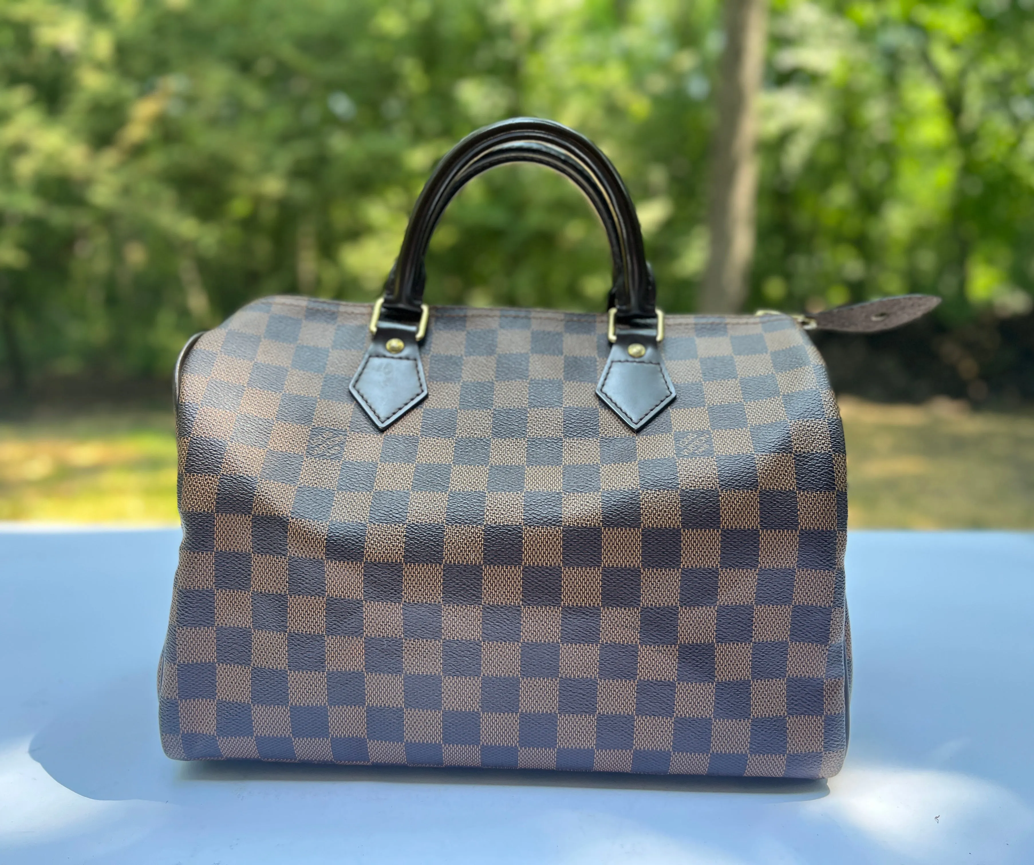Louis Vuitton Damier Ebene Speedy 30