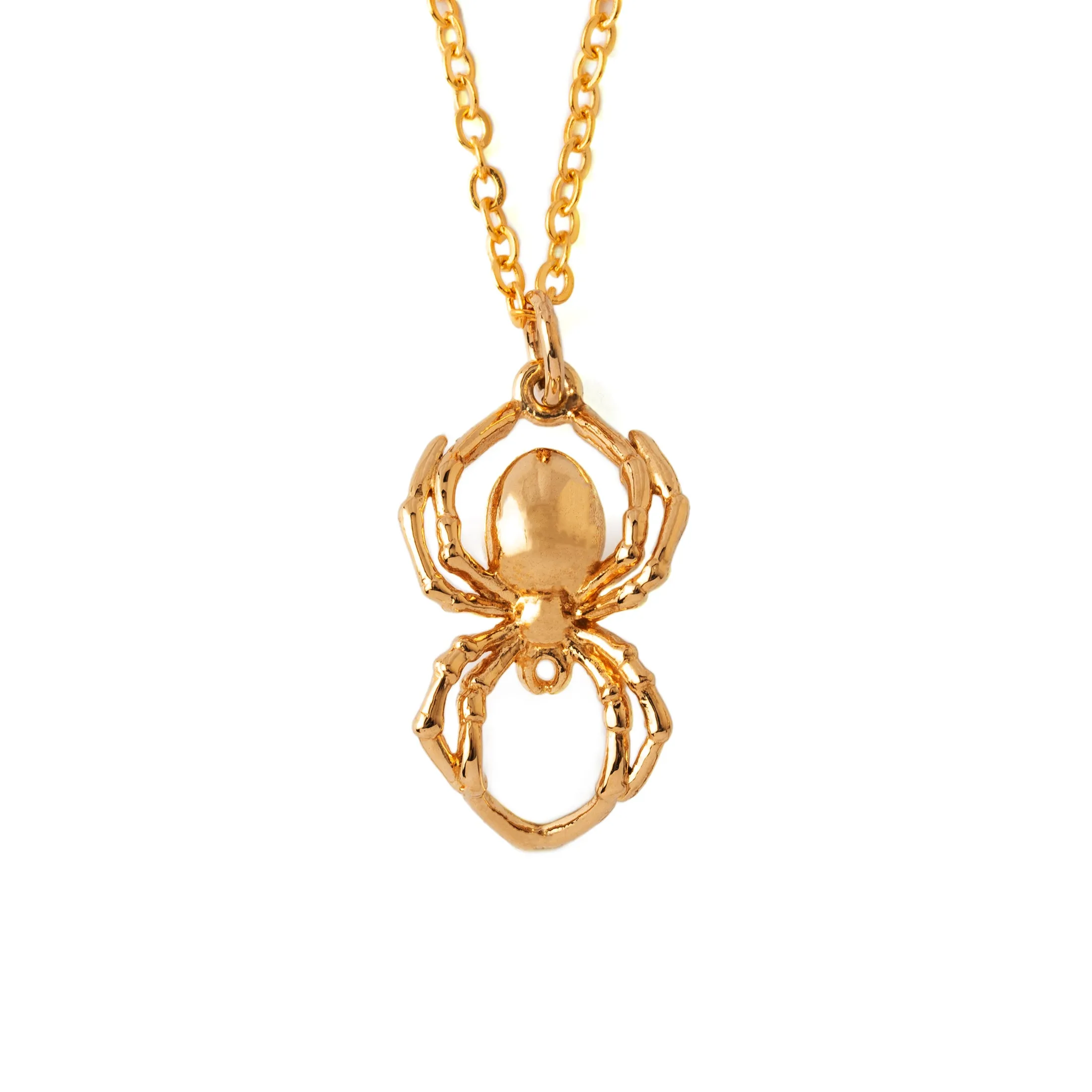 Spider Charm