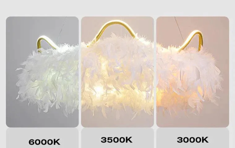 Warm Romantic Creative Crown Feather Lamp